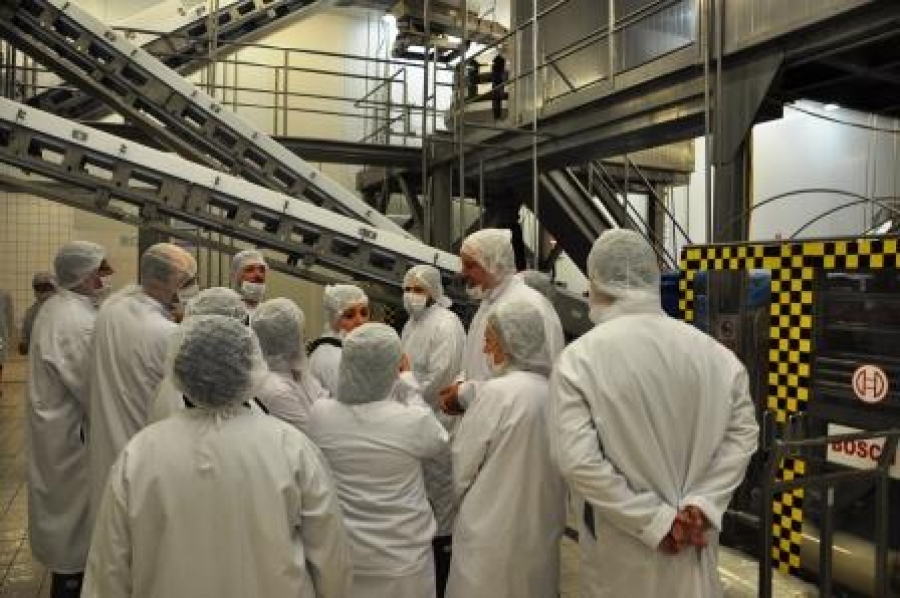 Food Bloggers Answered All Questions About Poultry Meat Production Process