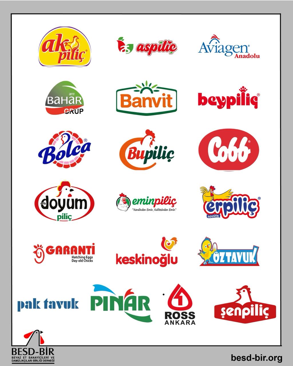 Piliç Etinde Gıda Güvenliği: Soğuk Zincir ve Doğru Pişirme ile En Güvenlisi Piliç Eti