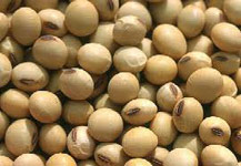 Customs Duties on Soybeans Removed